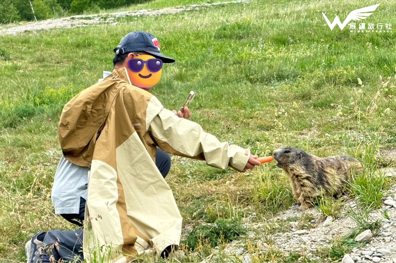 瑞士 薩斯菲土撥鼠 展繹旅行社