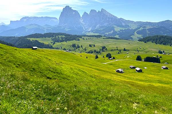 休斯草原纜車+健行 2