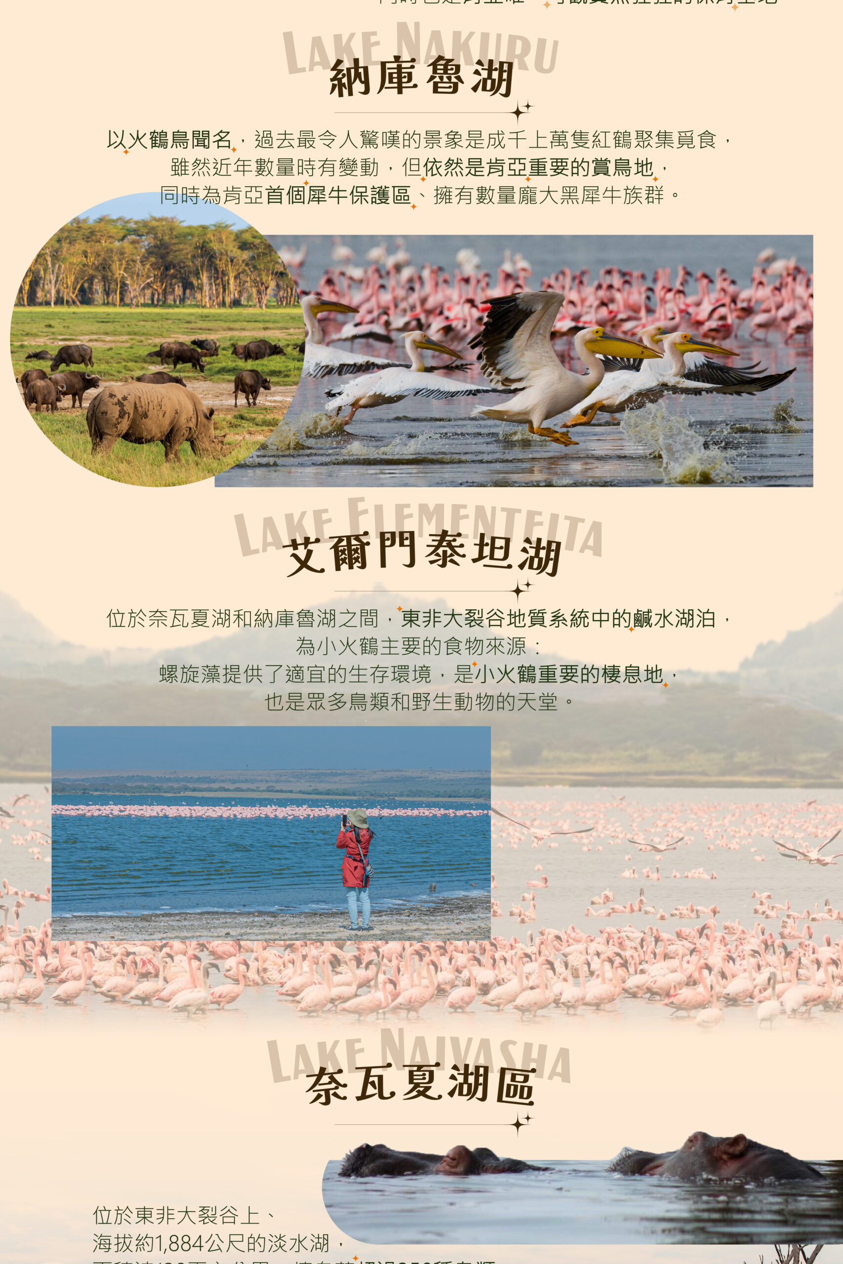 2026肯亞、動物大遷徙11天Standard(7/22)－行程特色｜展繹旅行社