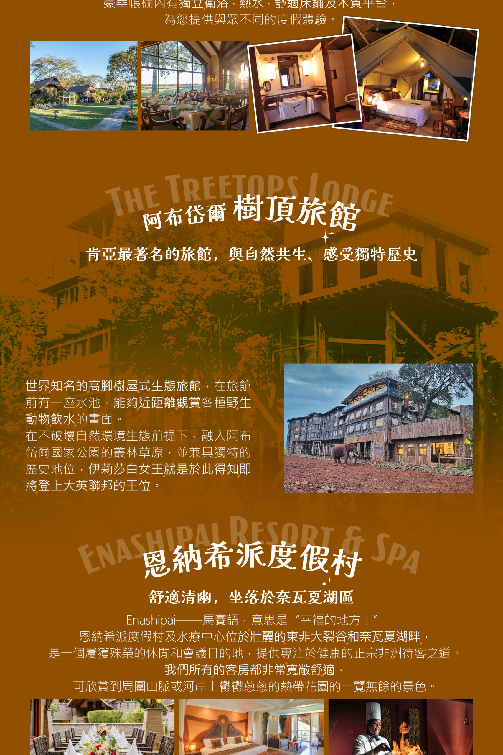 2026肯亞、動物大遷徙11天Standard(8/18)－行程特色｜展繹旅行社