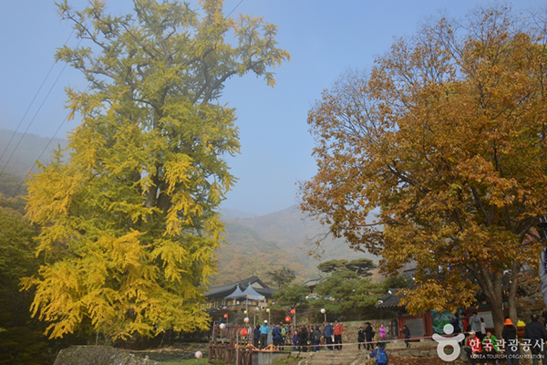 龍門寺