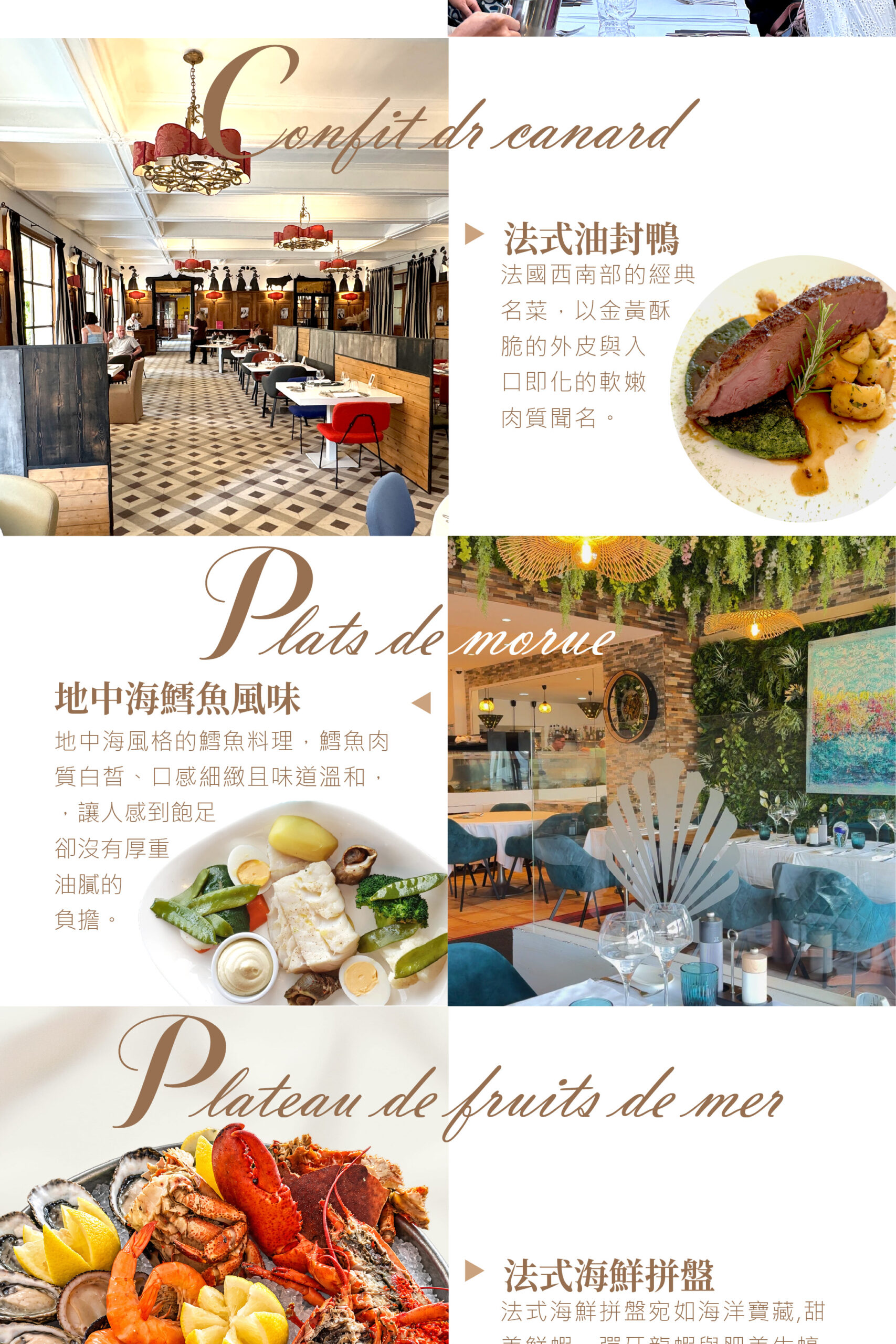 2027南法 單國深度 14天－行程特色｜展繹旅行社